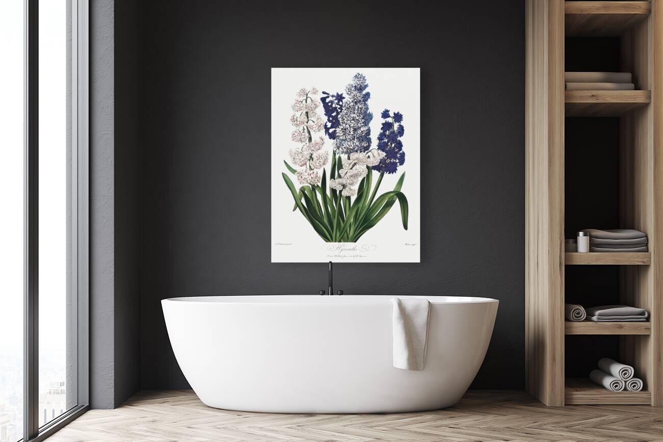 The Winged Passion-Flower Reproduction