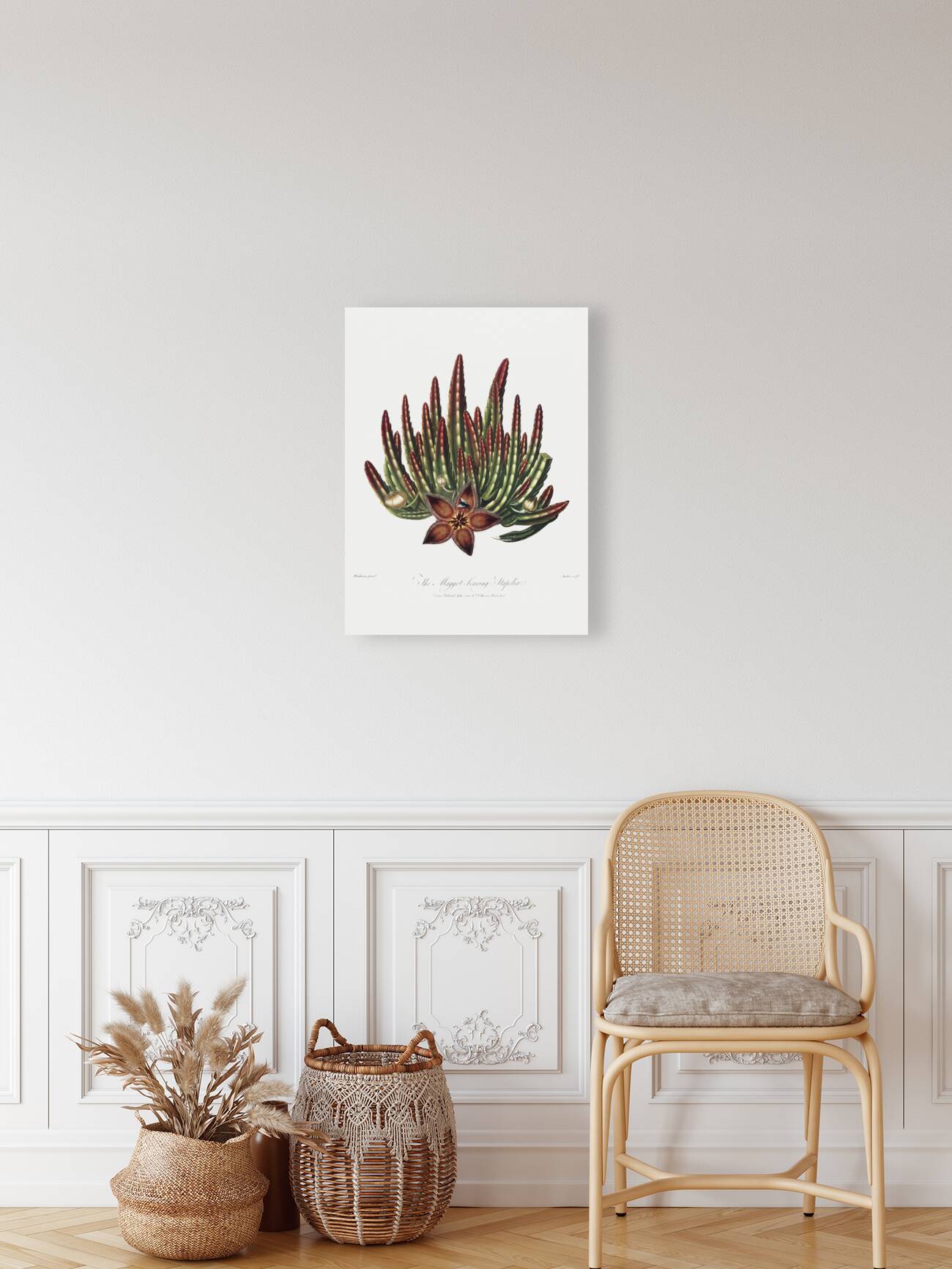 The Maggot–Bearing Stapelia Reproduction