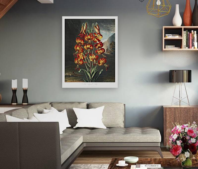 The Superb Lily Reproduction