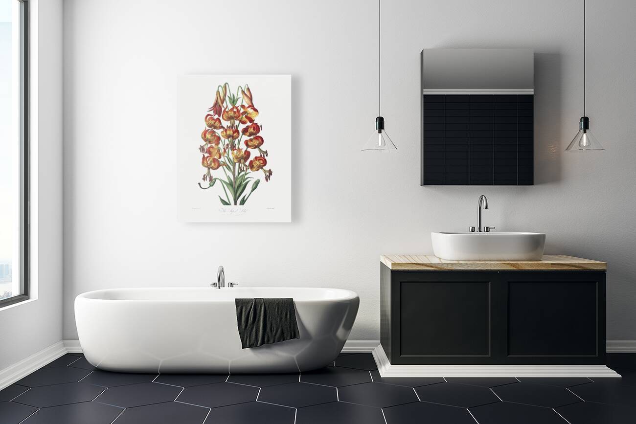 The Superb Lily  Reproduction