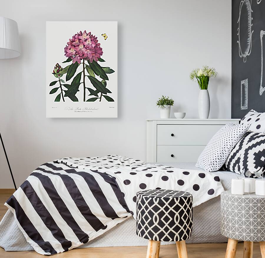 The Pontic Rhododendron Reproduction