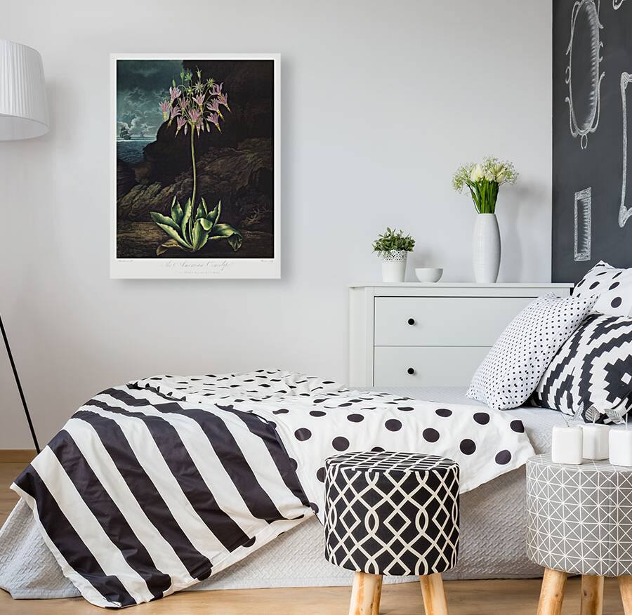 The American Cowslip Reproduction