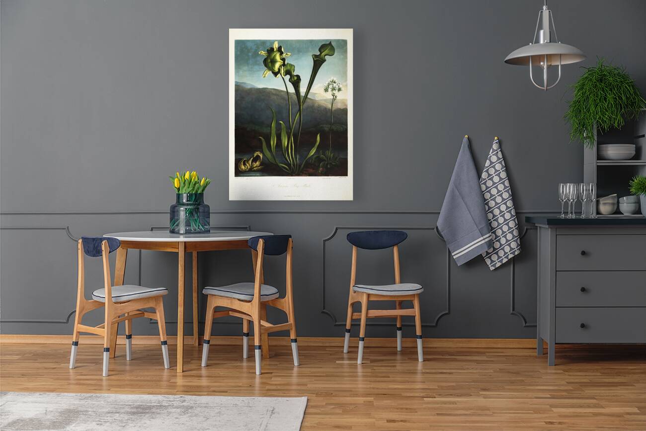 American Bog Plants Reproduction