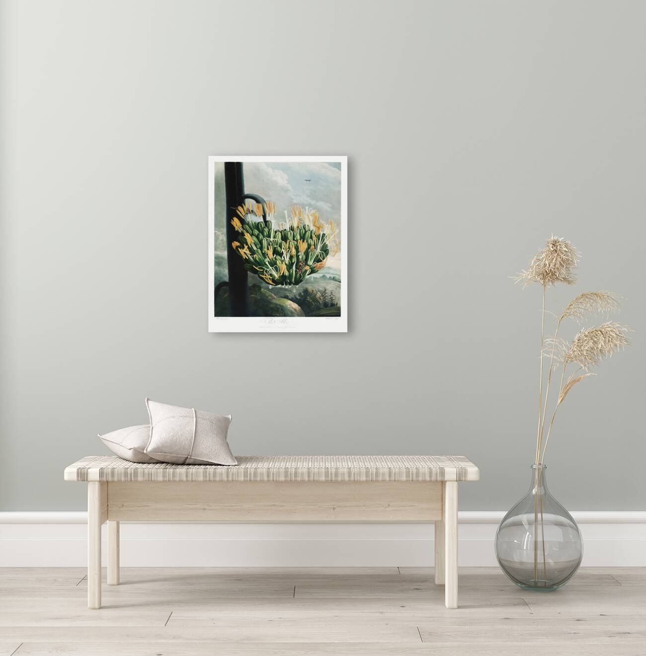 The Aloe Reproduction