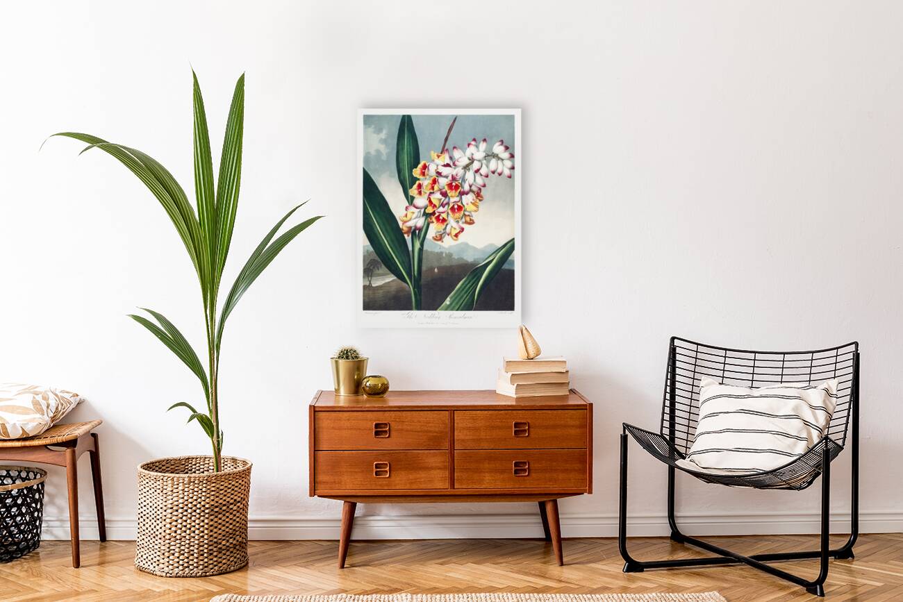 The Nodding Renealmia Reproduction