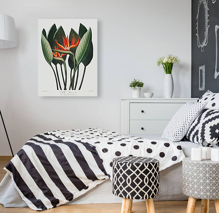 The Queen Plant Reproduction