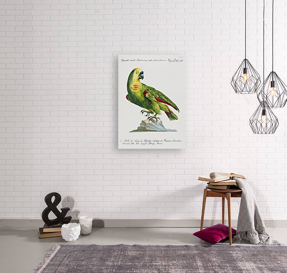 Pappagallo verde del Brasile col capo giallo e fronte celeste Parrot Reproduction