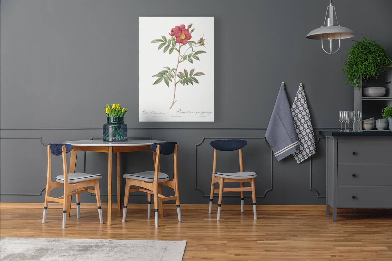 Vintage red rose Reproduction