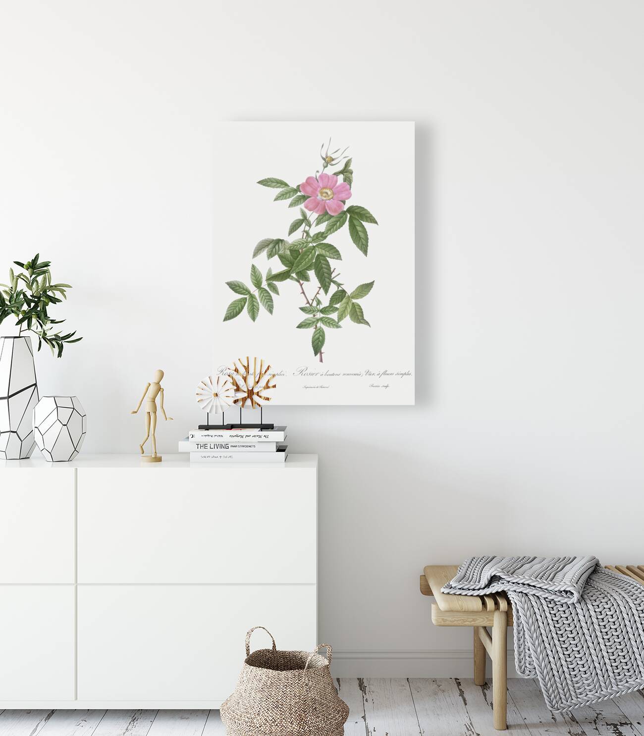 Pink boursault rose Reproduction