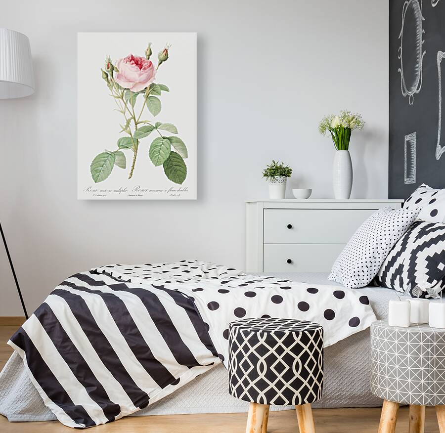 Vintage rosebush Reproduction