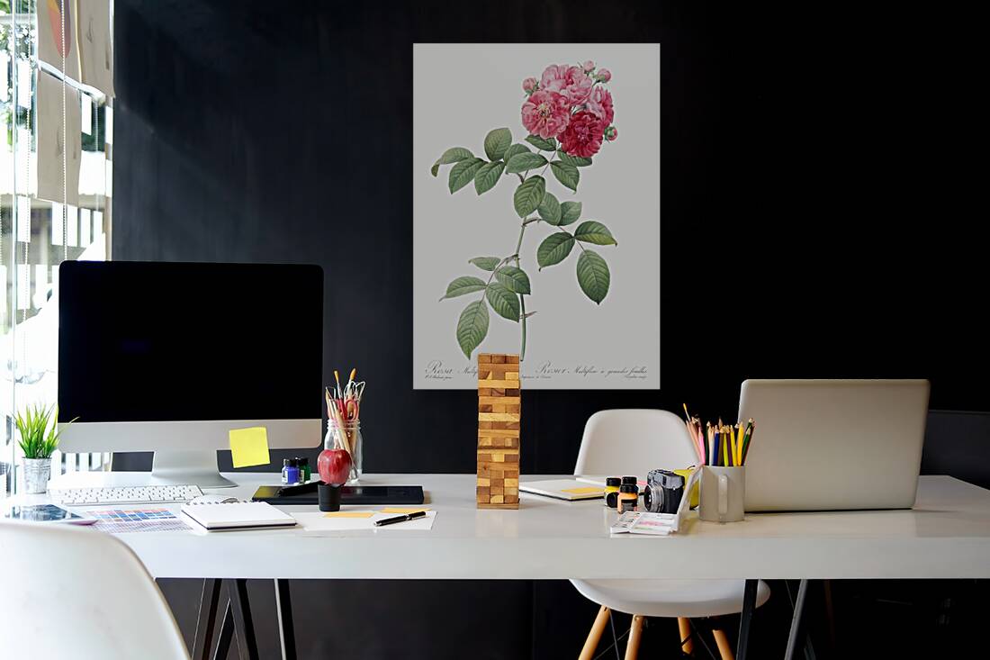 Seven sisters rose in bloom Reproduction