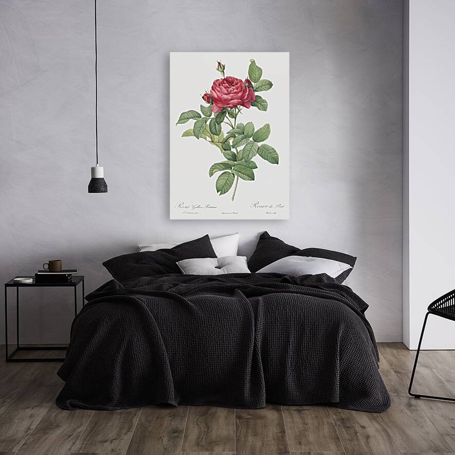 Red gallic rose Reproduction