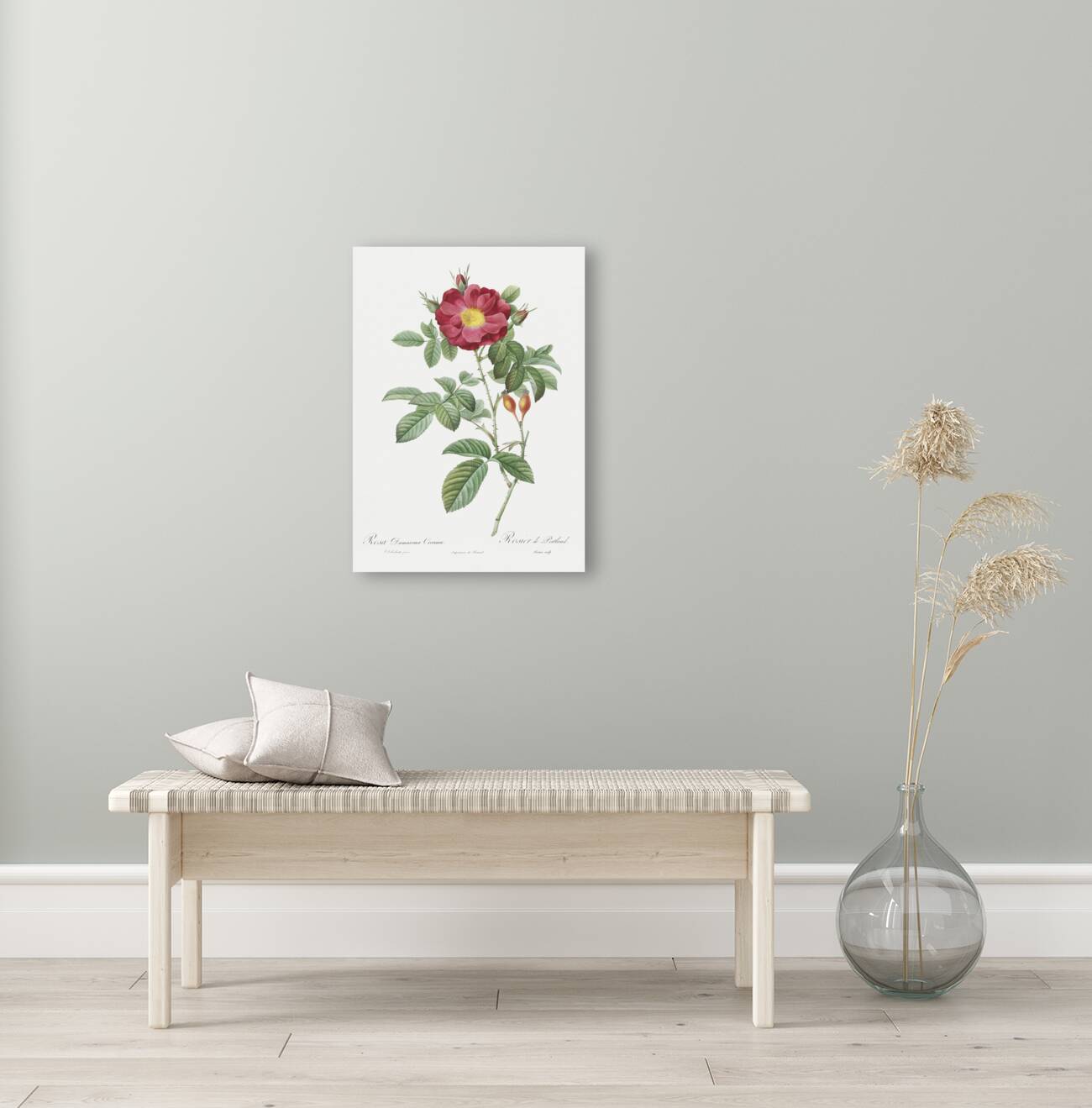 Blooming red postrland rose Reproduction
