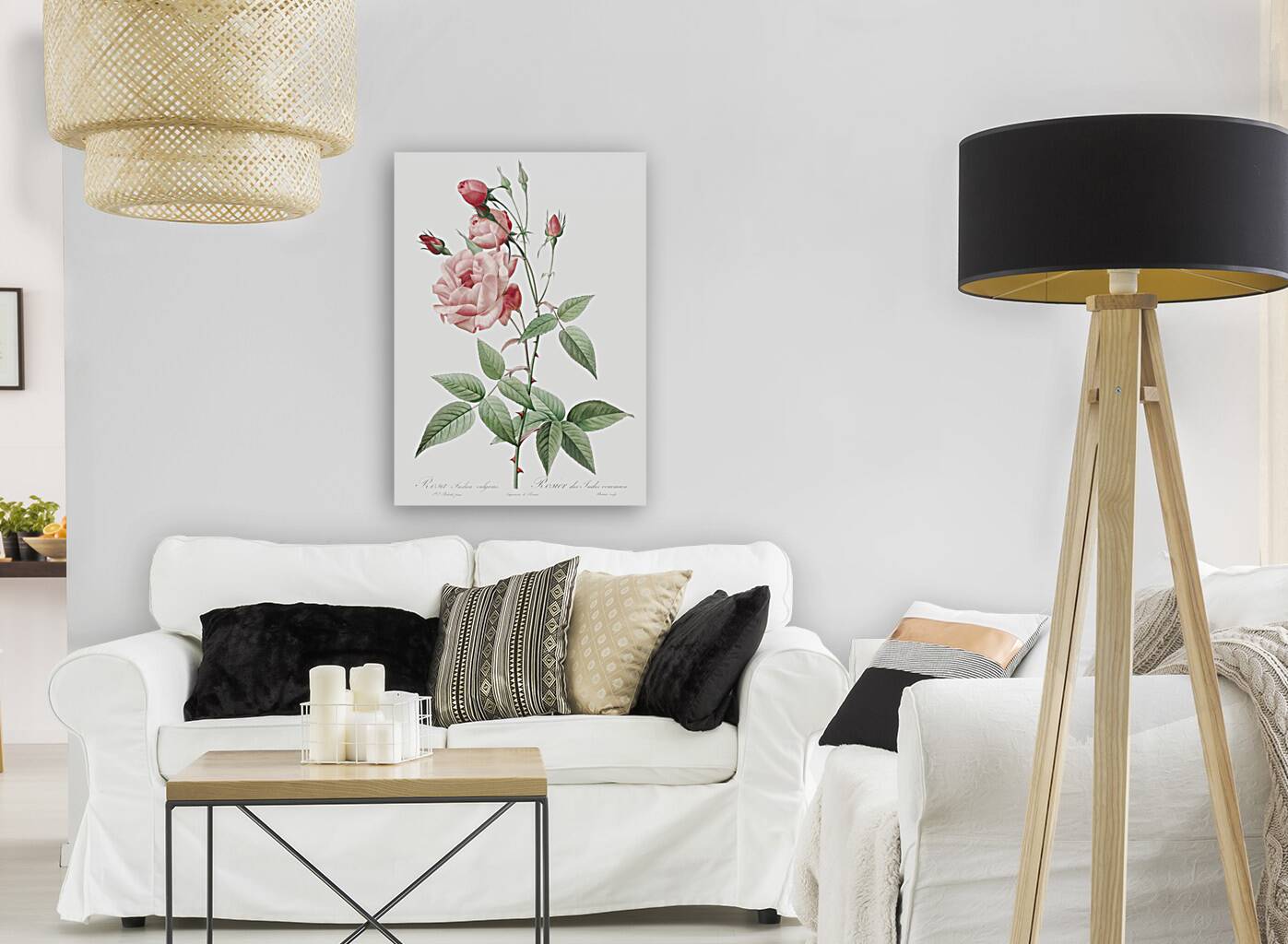 Anemone flowered sweetbriar rose Reproduction