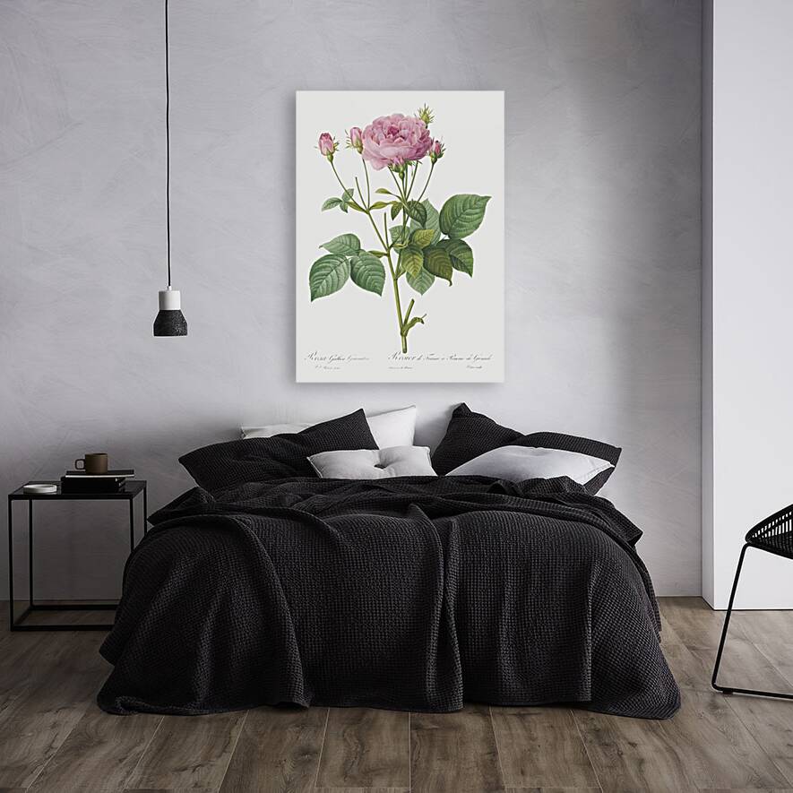 Pink french roses Reproduction