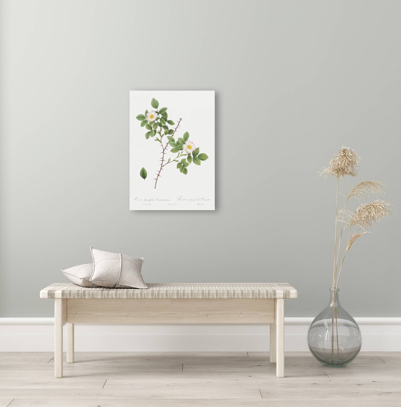 Vintage Rose of Dematra Reproduction