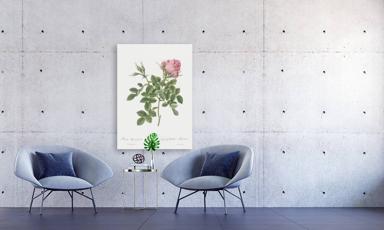 Small damask rose Reproduction