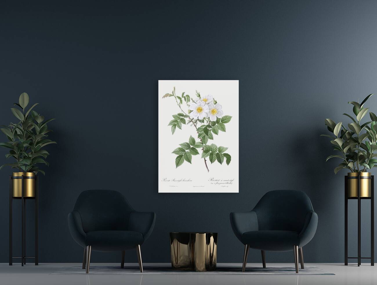 Blooming white rosebush Reproduction