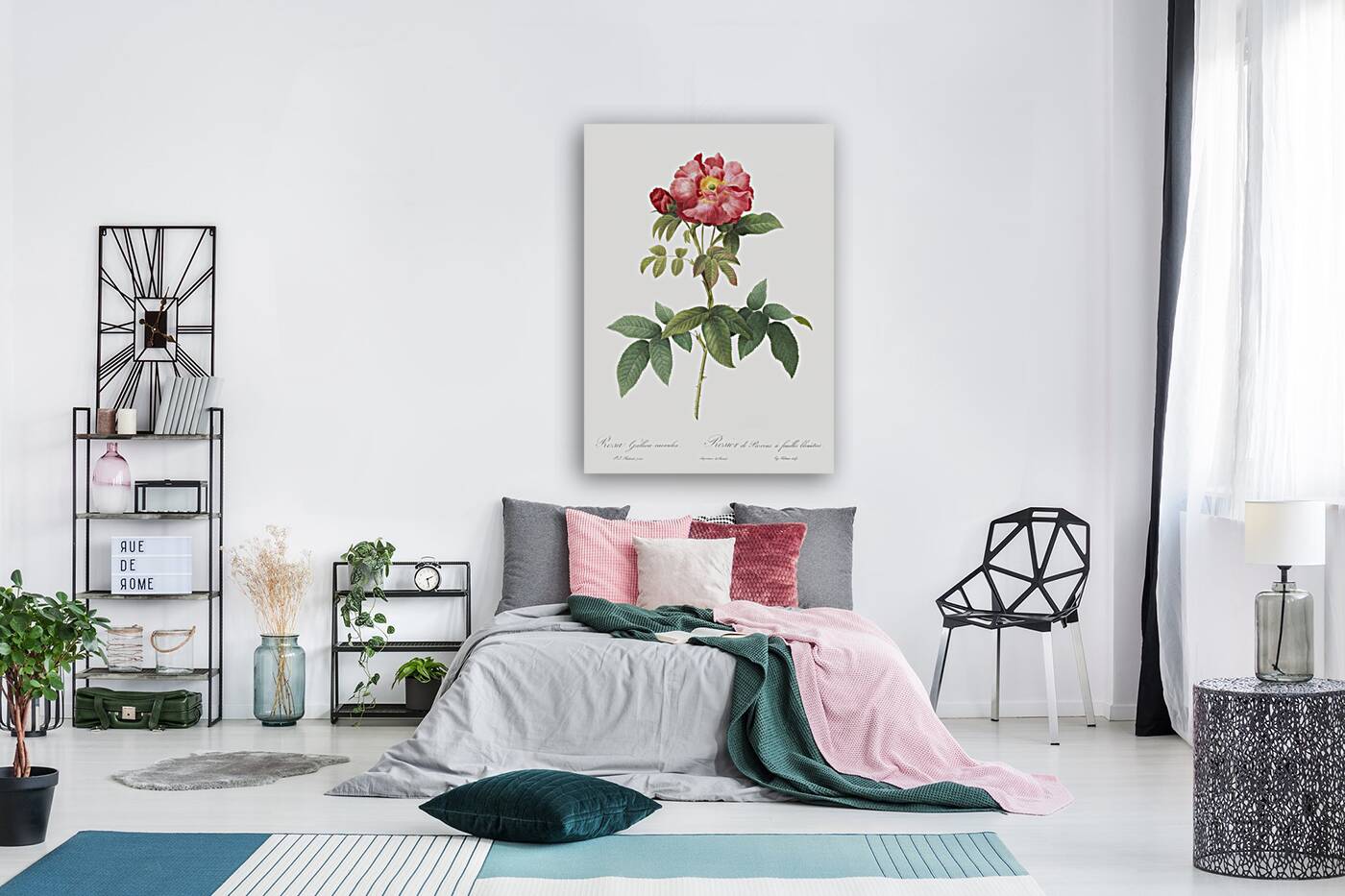 Pink provins rose Reproduction