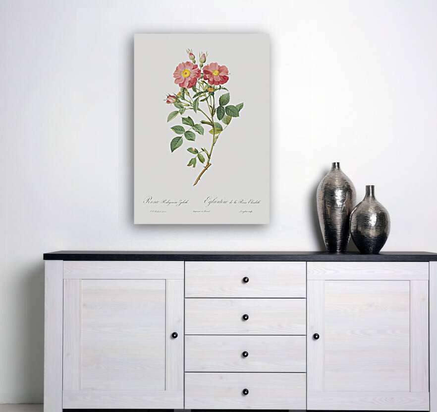 Blooming pink roses Reproduction