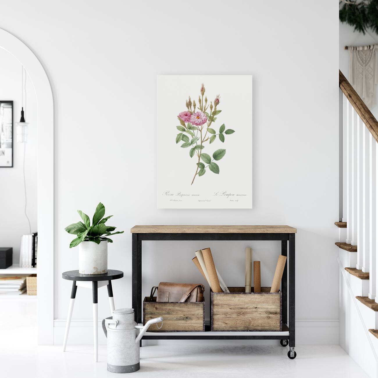 Mossy pompon rose Reproduction