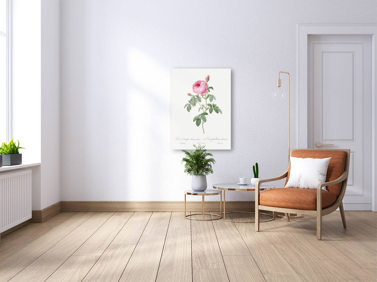 Provence rose in bloom Reproduction