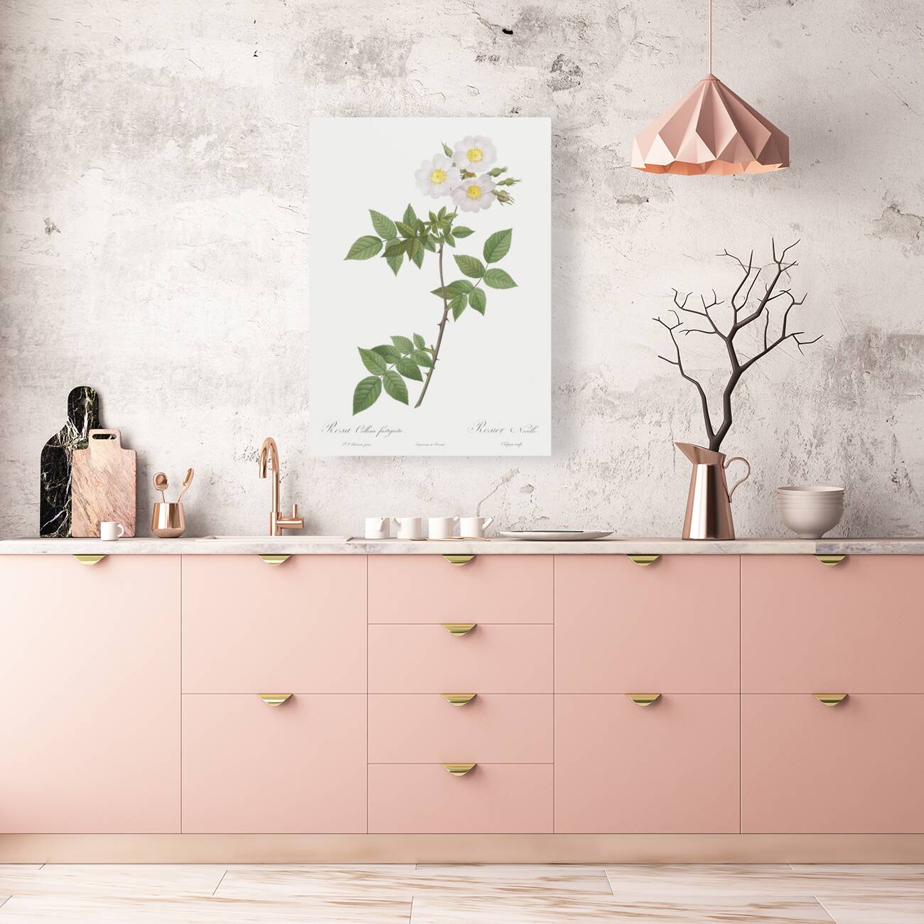 White rosa collina rose Reproduction