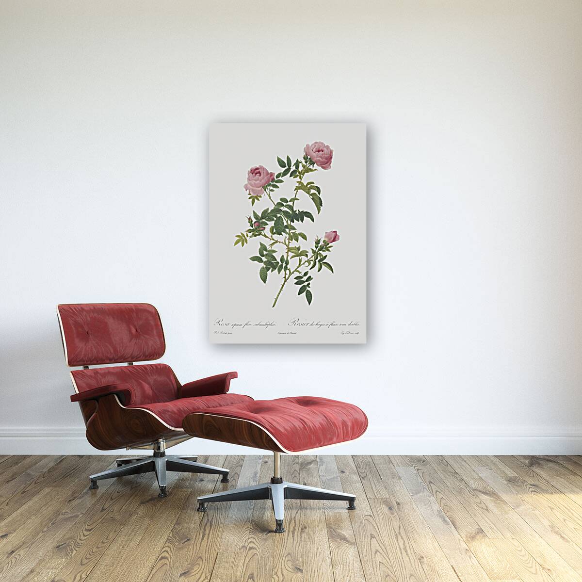 Pink french roses Reproduction