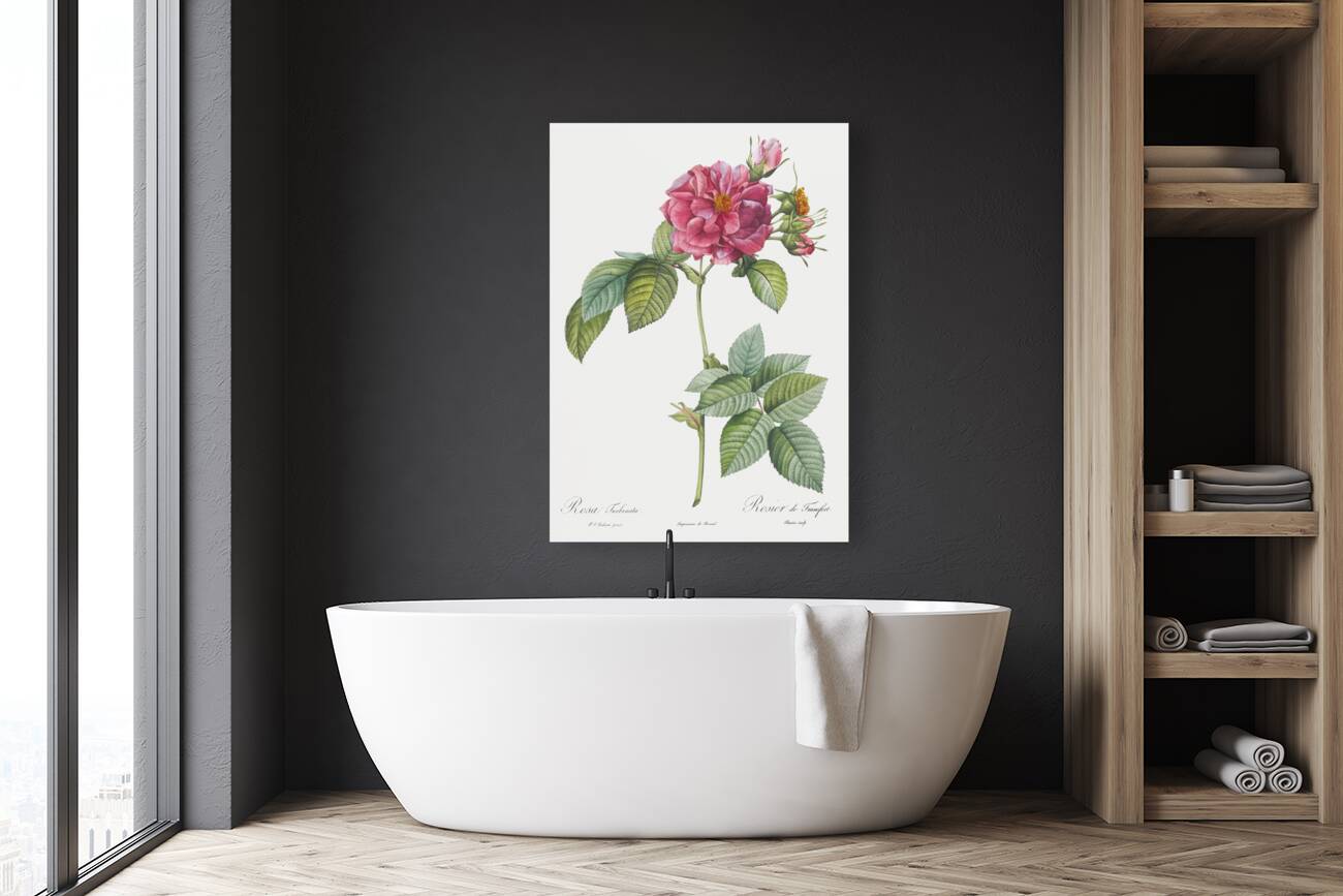 Pink french roses Reproduction