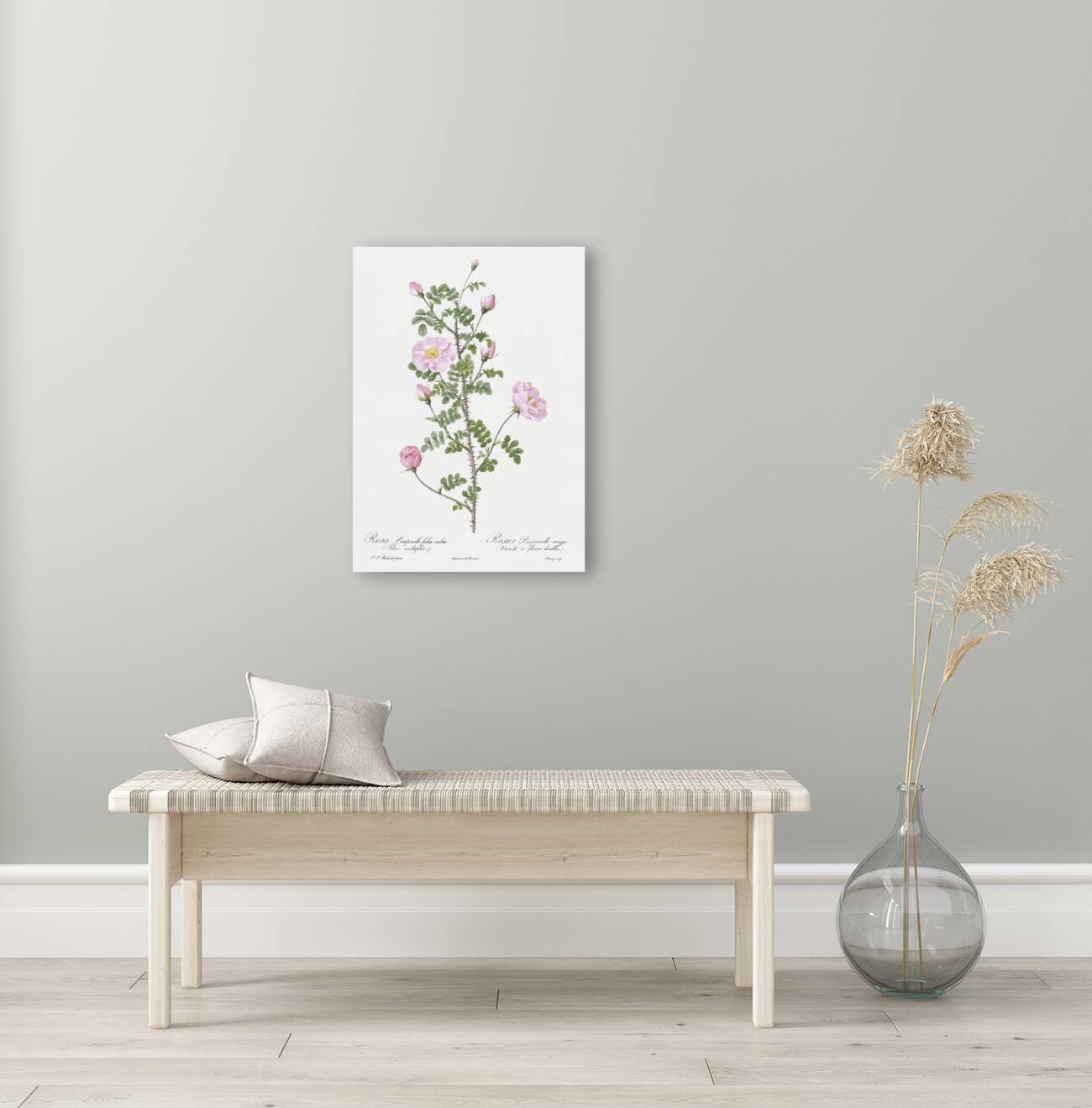 Pink scotch briar rose Reproduction