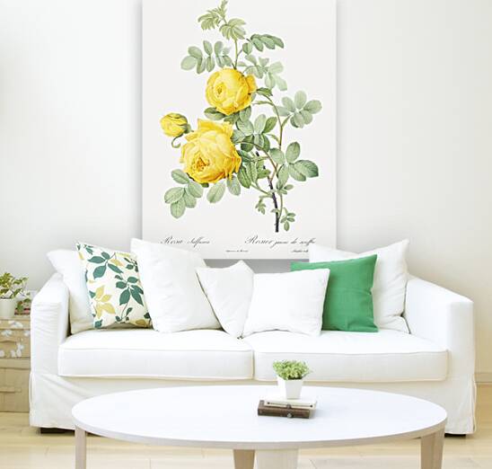 Pink Agatha rose Reproduction