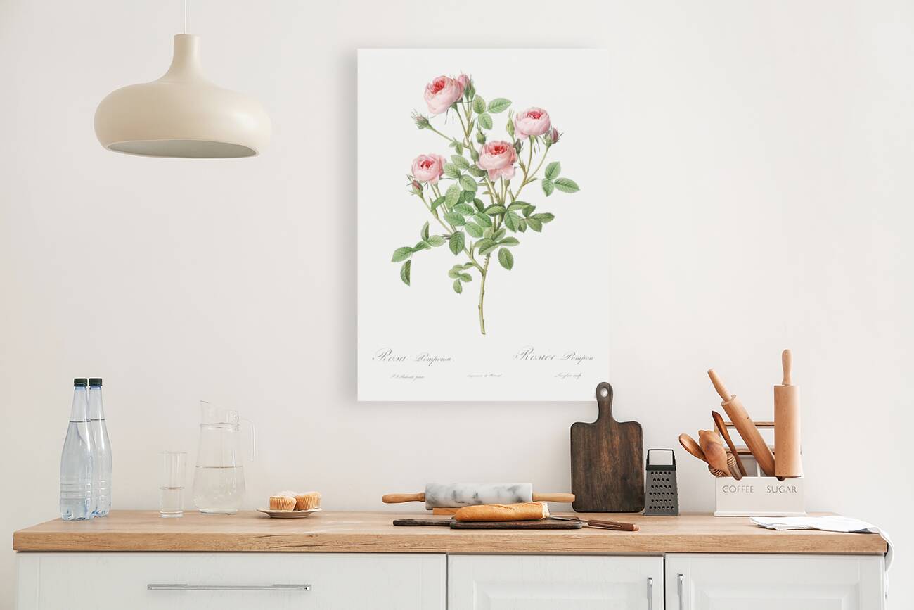 Blooming pink rosebush Reproduction