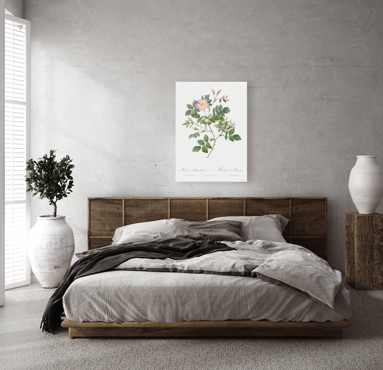 Vintage malmedy rose Reproduction