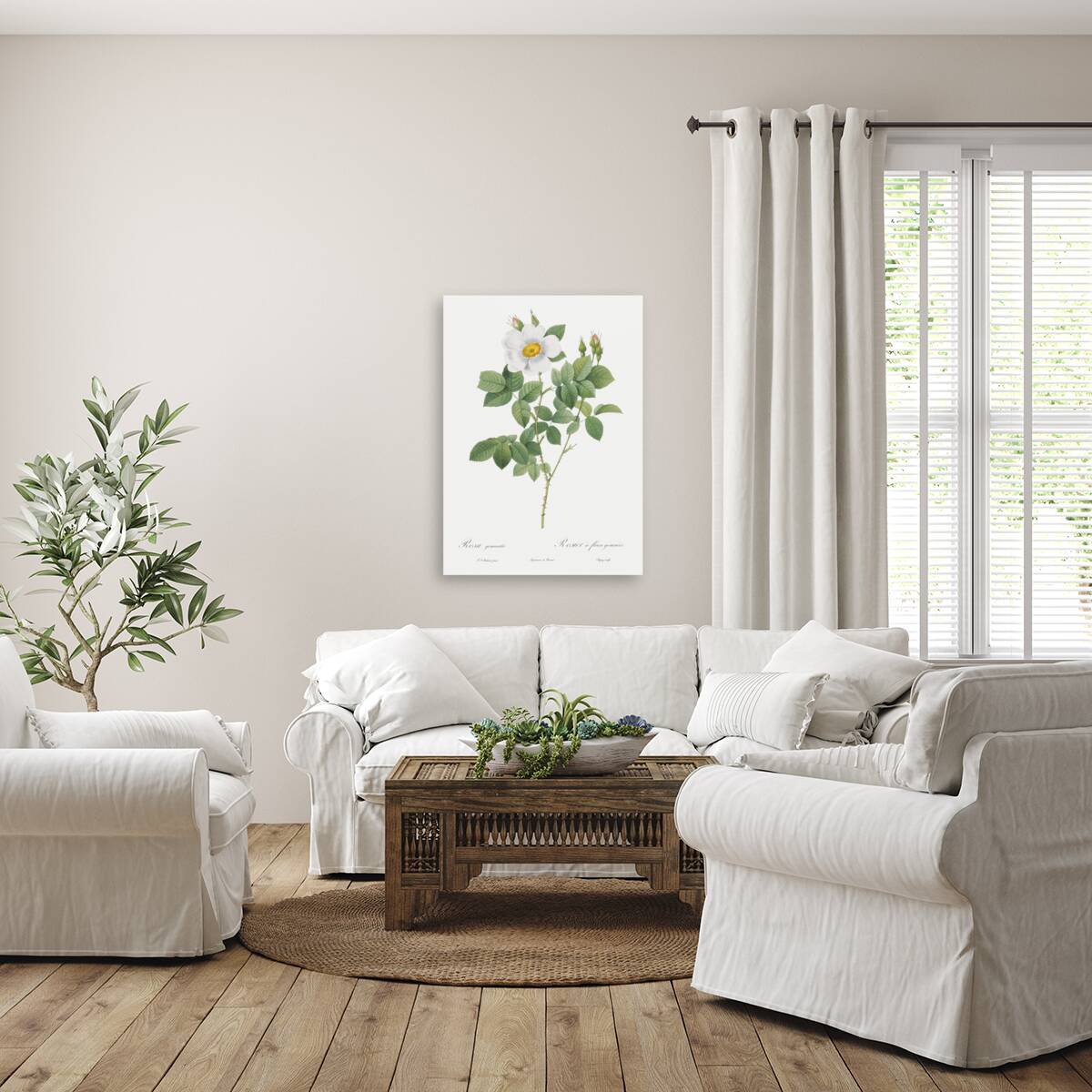 Blooming white roses Reproduction