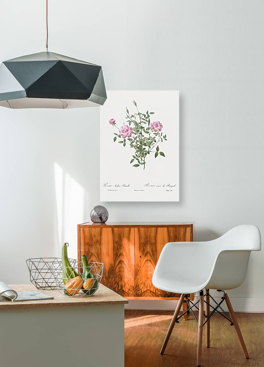 Vintage dwarf rosebush rose Reproduction