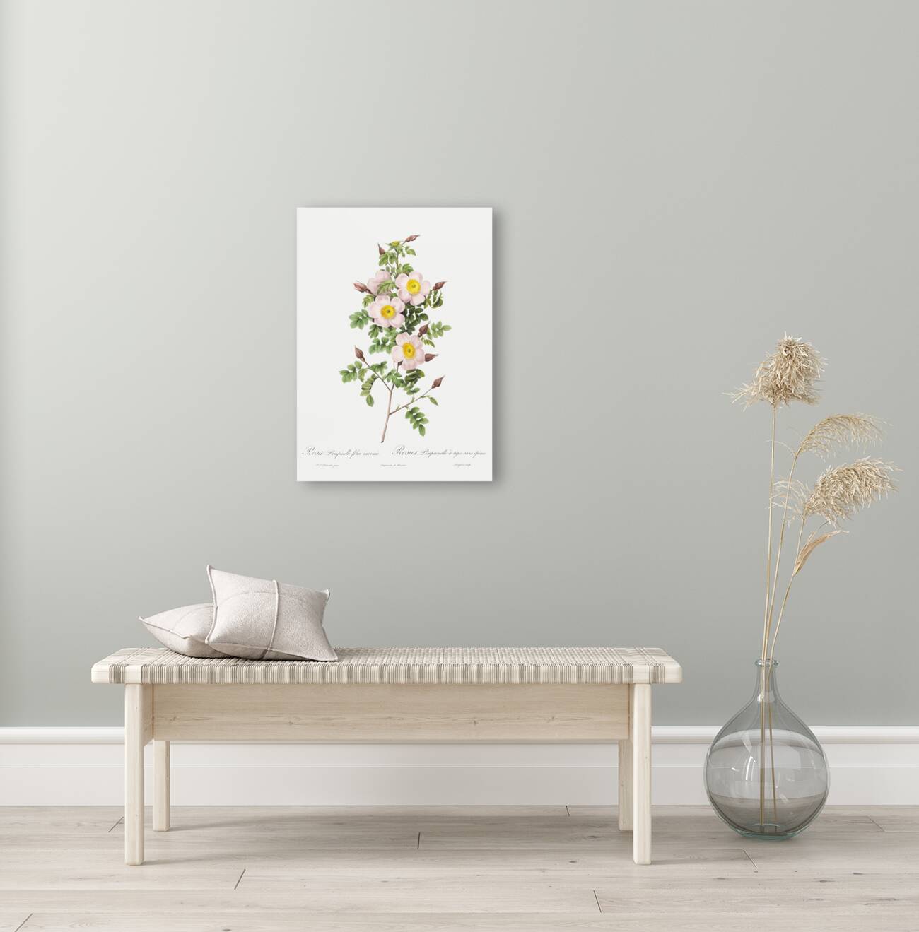 Vintage thornless Burnet rose Reproduction