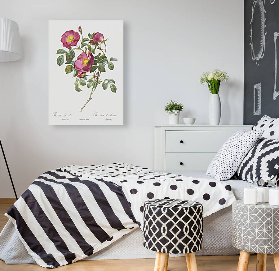 Rose of love in bloom Reproduction