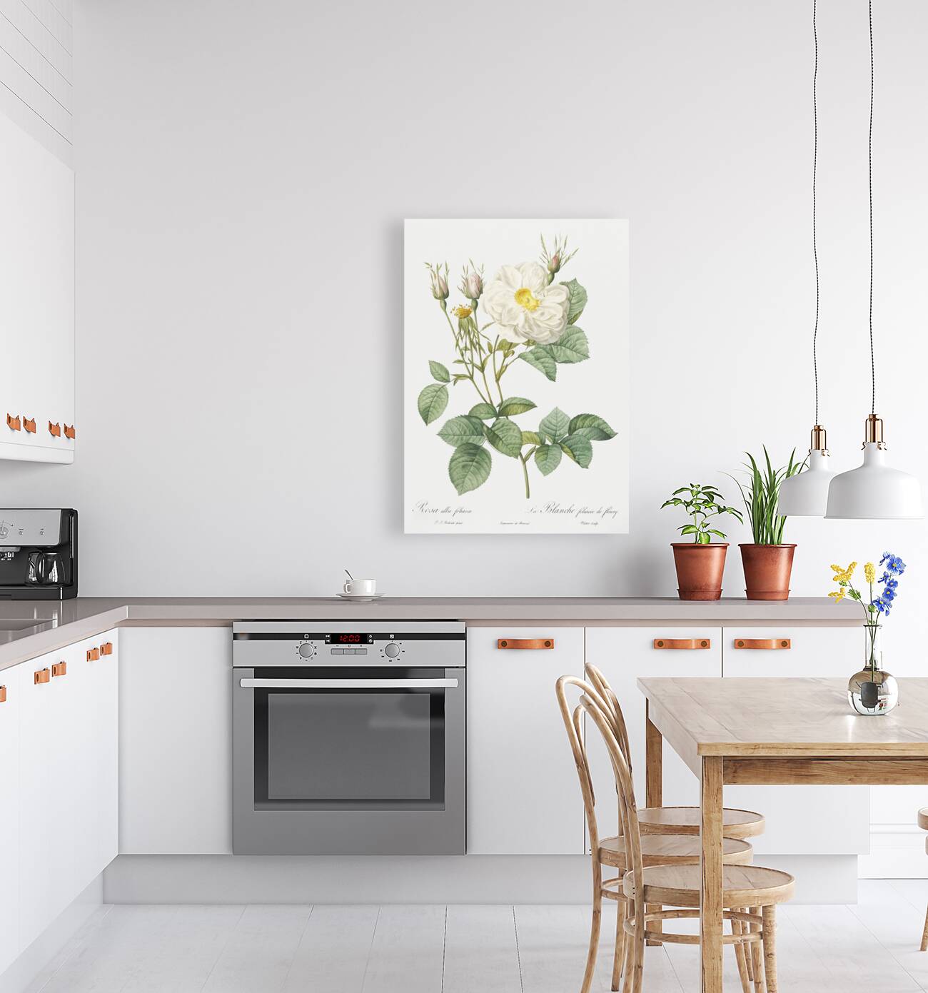 White rose of york Reproduction