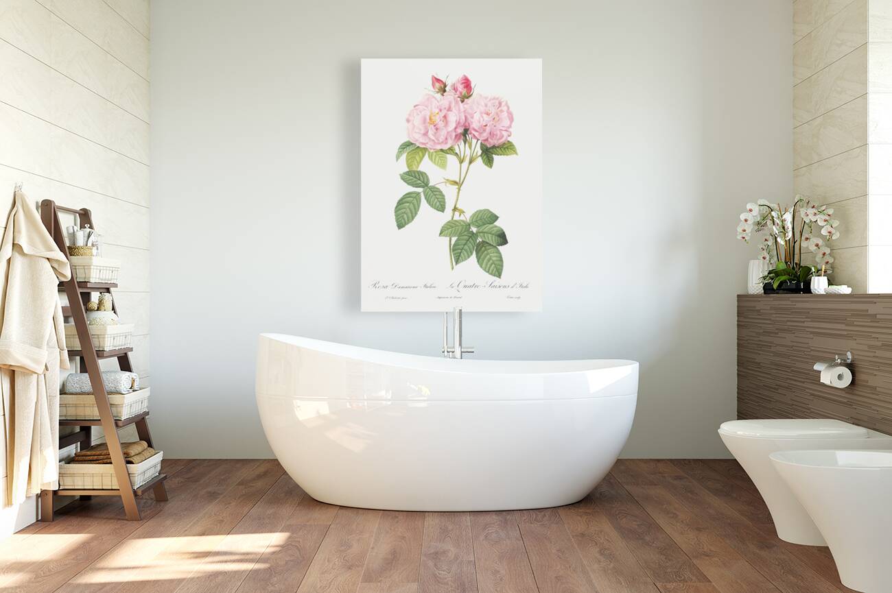 Vintage Leschenaults Rose Reproduction