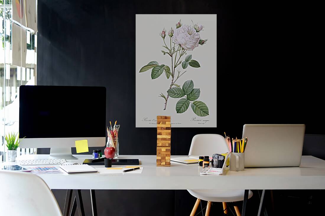 Pink bourbon roses Reproduction