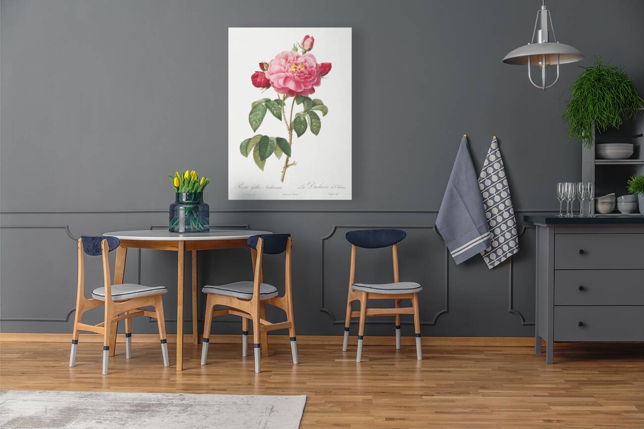 Vintage french rose Reproduction