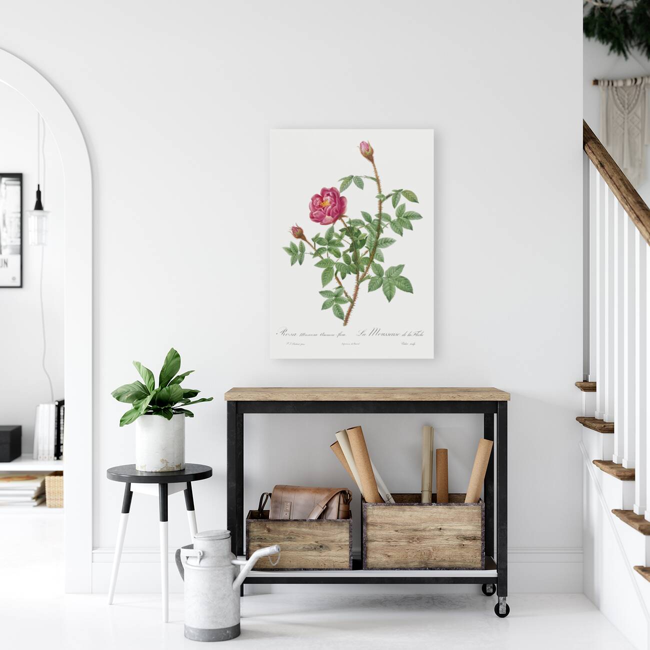 Anemone flowered rose Reproduction