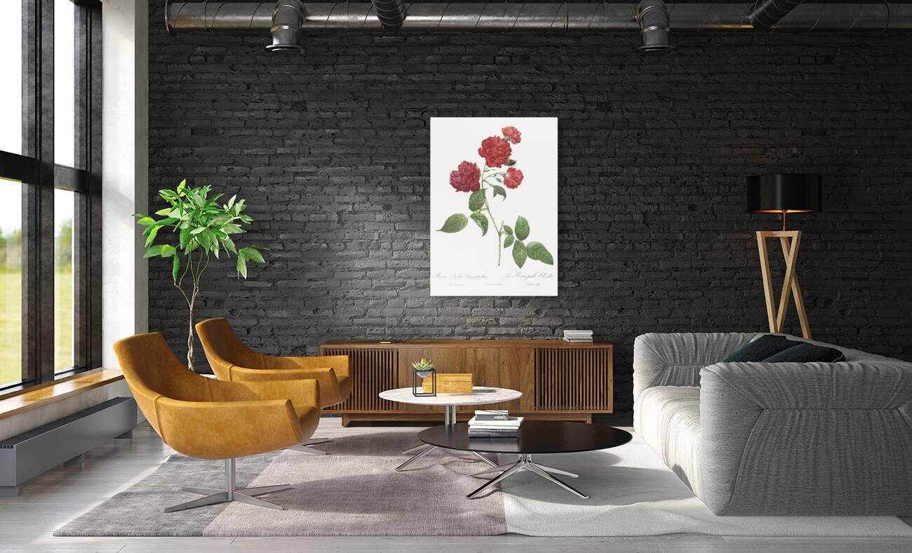 Anemone flowered rose Reproduction