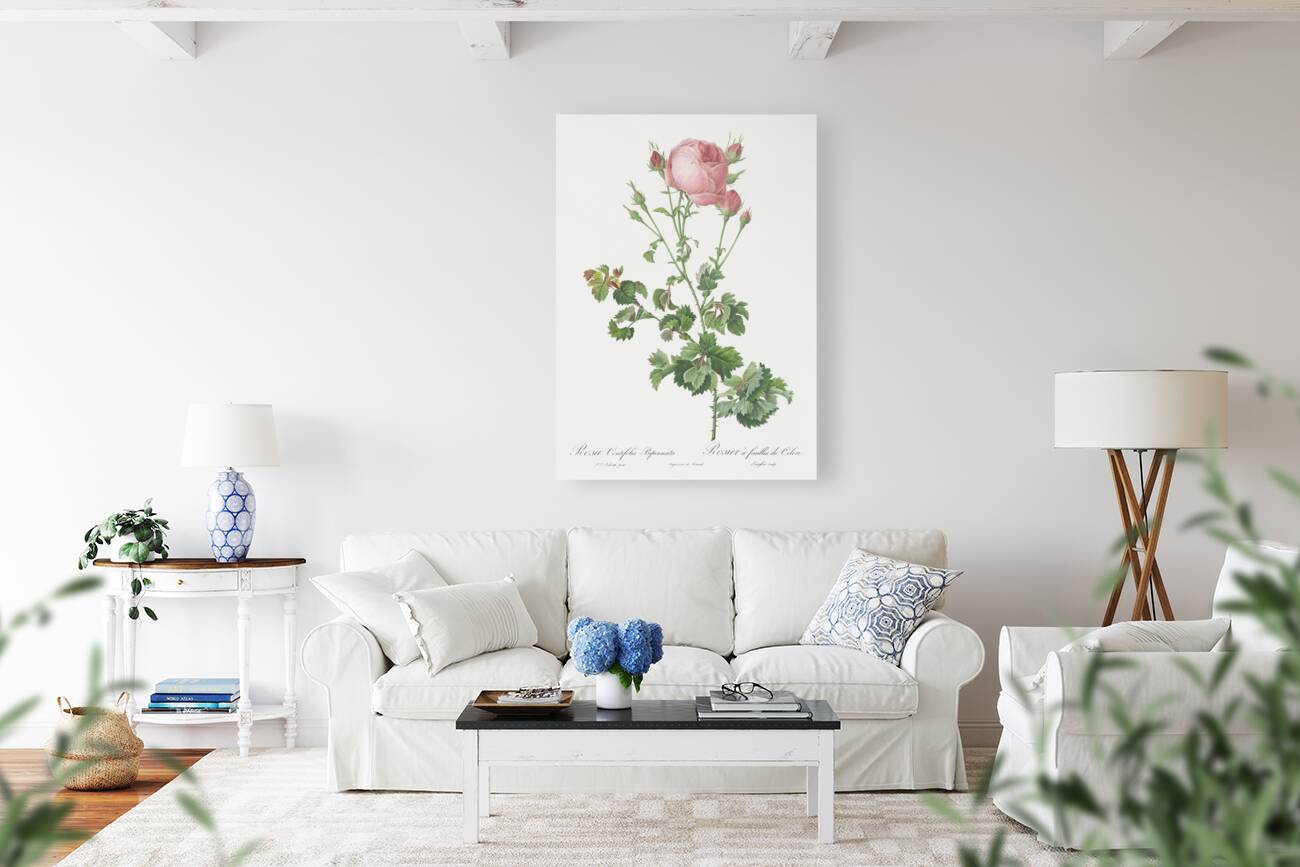 Blooming pink rosebush Reproduction