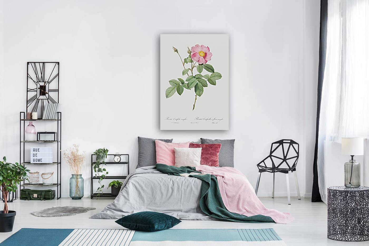 Vintage cabbage rose poster Reproduction