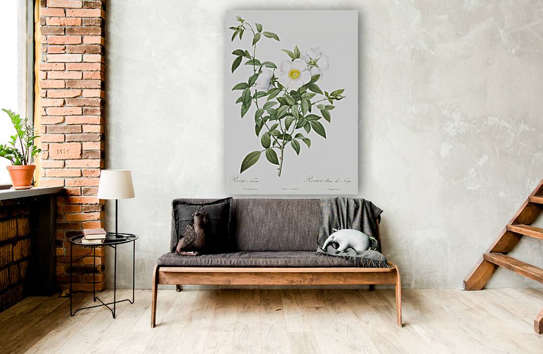 Blooming white roses Reproduction