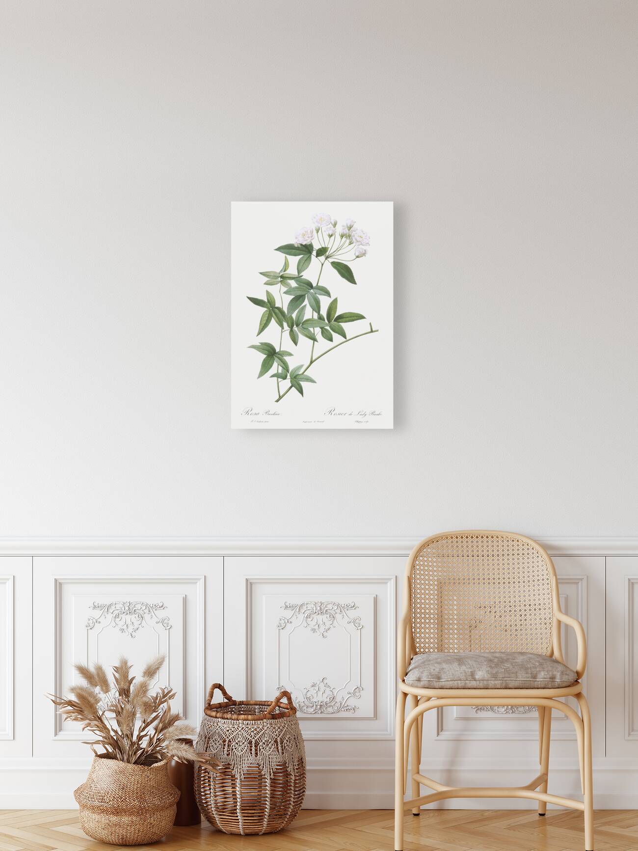 Vintage Lady Banks rose Reproduction