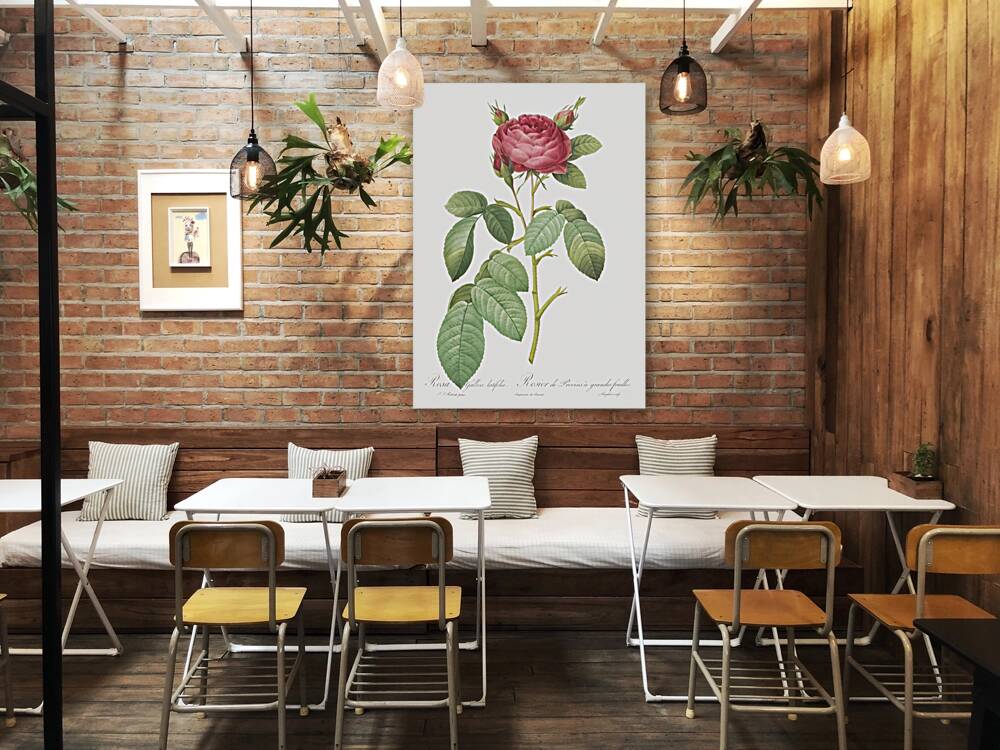 Red gallic rose Reproduction