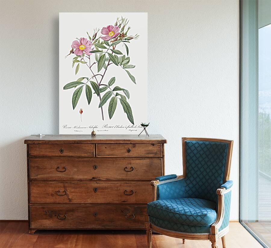 Pink swamp roses Reproduction