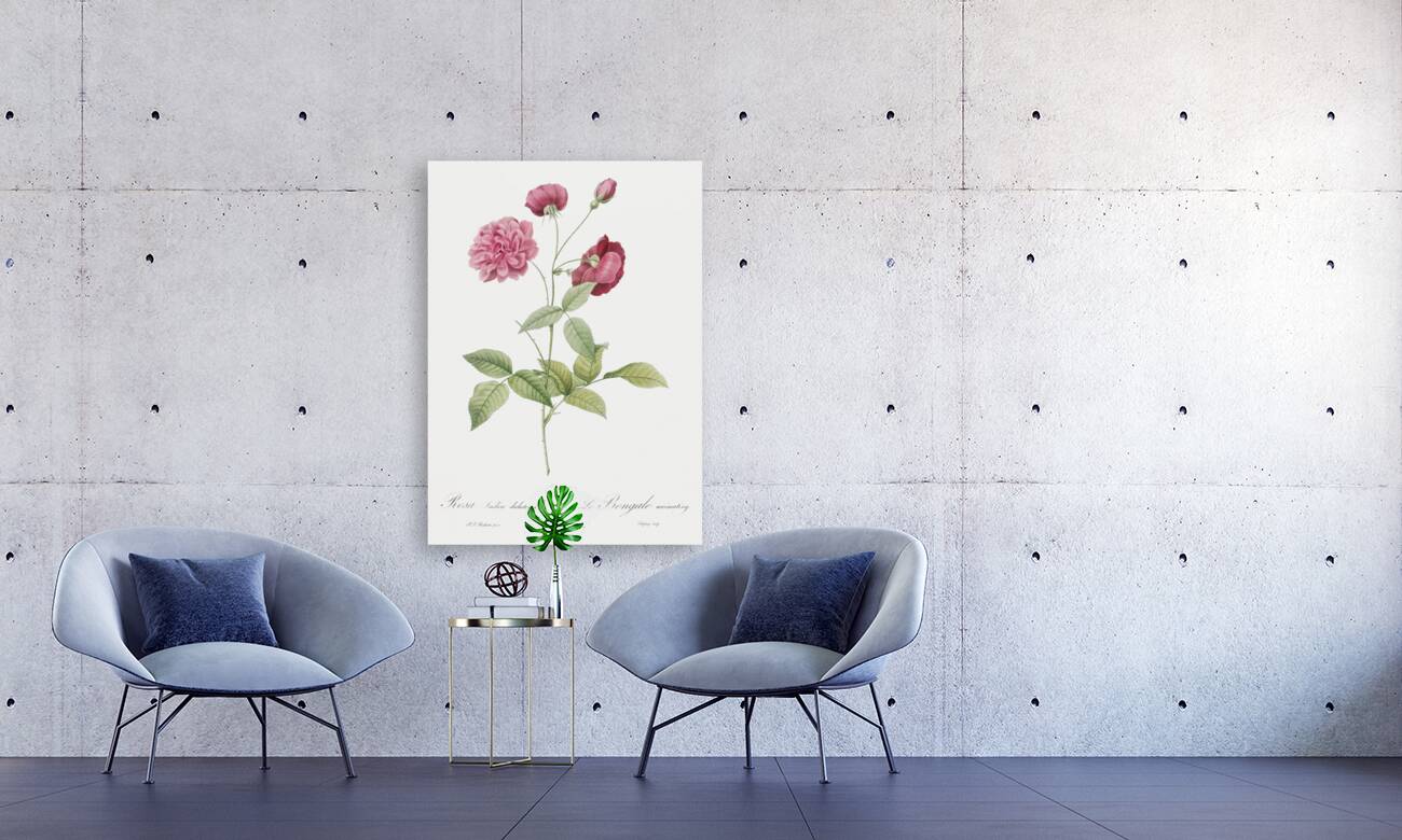 Vintage china rose Reproduction